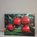 그림같은광택 | 인테리어 액자 에이아이플러스 과일 캔버스액자, 집안 분위기 한 번에 확 살려준 후기