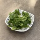 메가엠지씨커피 의정부듀클래스점 | [의정부맛집]직장인 점심식사하기 좋고 혼밥하기 좋은 쌀국수 맛집 포식 쌀국수&돈까스 고산듀클...