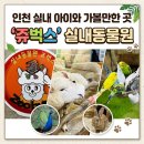 최고짐 서창점 | 인천 실내 가볼만한 곳, 인천 서창 실내 동물원 쥬벅스, 아기 양 우유 주기부터 앵무새 교감까지 알찬 정보