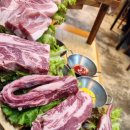 노량진 생고기 이미지