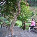 맑은산장농원 이미지