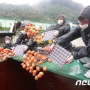 홍문표농장 이미지