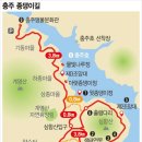 [8편] 충주호 여름날 낮과 밤 이미지