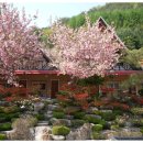 구마황토민박 이미지