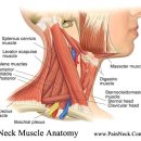 내경한의원 이미지