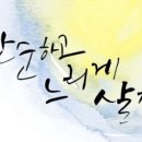 느리게살자