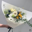 모노포레스트 이미지