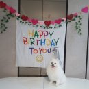 댕댕레시피 이미지