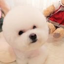 셀럽몽 이미지