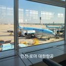 진주 인천공항버스 인천로마 대한항공 기내식 비행시간 로마입국 공항택시