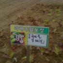 올래농장 이미지