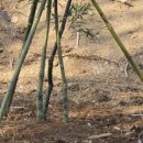 금밭농장 이미지