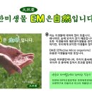 새로이피부 이미지