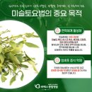풍년농약 식물병원 | 암병원 다니면서 면역력 관리가 왜 중요한지 알게 됐다