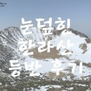 맛짱김밥삼양점 | 3월 초, 겨울 한라산 성판악코스 등반 후기(1)