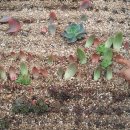 도남농장 이미지