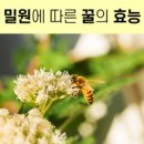 두레자연마을농업회사법인유한회사 이미지