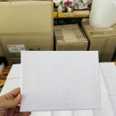 진원초등학교 | 진원초등학교 병설유치원 스칸디아모스 카네이션 캔버스액자 만들기 키트 수업후기