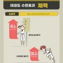 한국체대 수 태권도장 이미지