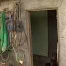 부부축사 이미지