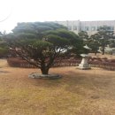 형주병원 이미지