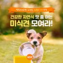 라이크펫 이미지