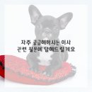 철따라계절따라 이미지