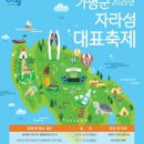 유채향 민박 | 2025 자라섬 꽃 페스타 행사 안내