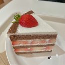 [임신일기] (20주~25주) 기대하던 임신 중기 정밀초음파 💖 | 정밀초음파 동영상 날라감, 살크업, 물욕...