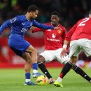 이적 카카오 검색결과