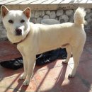 소호7길 이미지