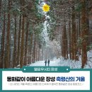 축령산 산소길(2구간) 이미지