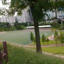 강남구 견인차량보관소 이미지