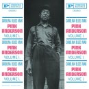 Meet Me In The Bottom - Pink Anderson - 이미지
