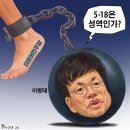 7월 6일(월) 신사임당이 ‘조선 최고 천재’ 율곡 낳은 강릉 오죽헌 이미지