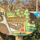 도촌마을회관 이미지