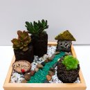 금앤옥통나무팬션 이미지