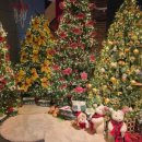 옥계신당로5길-1 이미지