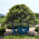 강나루생태공원 이미지