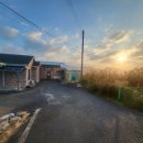 다육농가민박 이미지