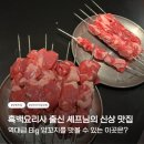 빅바오시지점 | 망원 양꼬치 망원동 맛집 흑백요리사 셰프님의 양과 아이들