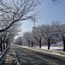 상백1리 마을회관 이미지