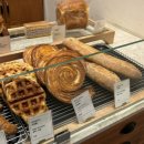 노베이커노베이커스 이미지