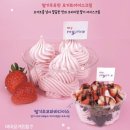 마이요거트립 이미지
