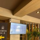 김광진축사 | 예식연주문의] 2023.6.17 (토) 1시30분 포항티파니웨딩홀 5층 컨벤션홀 _ 피아노4중주 진행 🤍 (+후기포함)