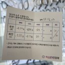 미루안경 | [시흥/장곡동 안경점 추천] 내돈내산 미루안경 &amp; 미소아이안과