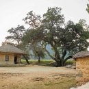 월산주막 이미지