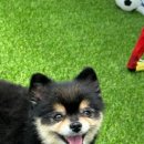 보들보들 유치원 이미지