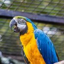 물방울 리얼 골프존 이미지