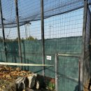 모현레스피아테니스장 | 용인 모현 레스피아 테니스장 인조잔디 코트 후기! 테린이도 눈치 없이 칠 수 있는 단독코트